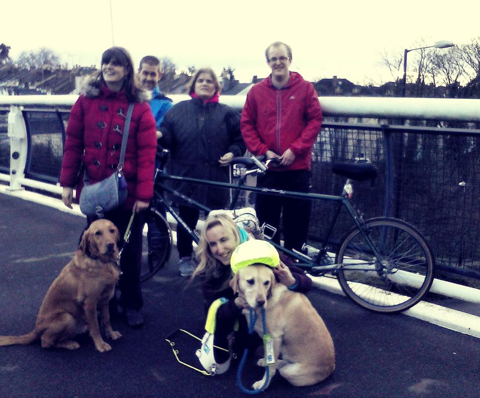 Five members of Tandemonium, with two guide dogs.